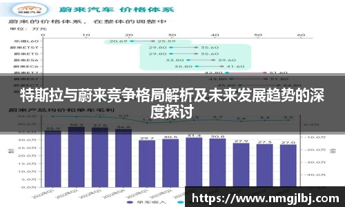 特斯拉与蔚来竞争格局解析及未来发展趋势的深度探讨